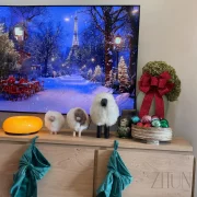 Handmade Sheep Figurines ; Handcrafted Authentic Sheep Wool with Premium Red Wood | Unique Handcrafted Sheep Statuette | Rare Find Crafts